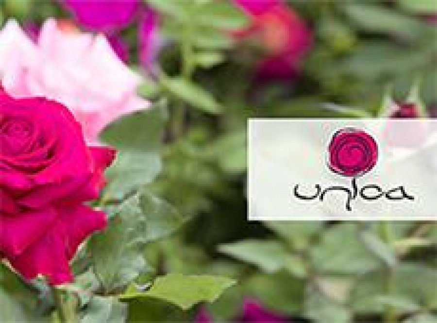 GRAZIE, SIETE UNICI!