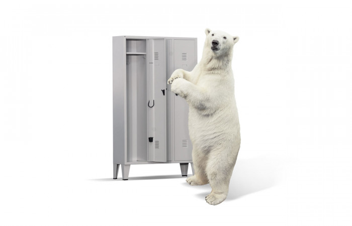 IL RUOLO FONDAMENTALE DELL'ARMADIO SPOGLIATOIO